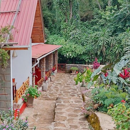 Mrefu Eco-Lodge Marangu Exteriér fotografie