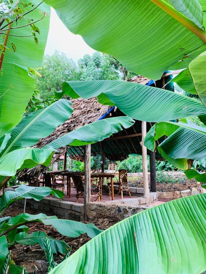 Mrefu Eco-Lodge Marangu Exteriér fotografie