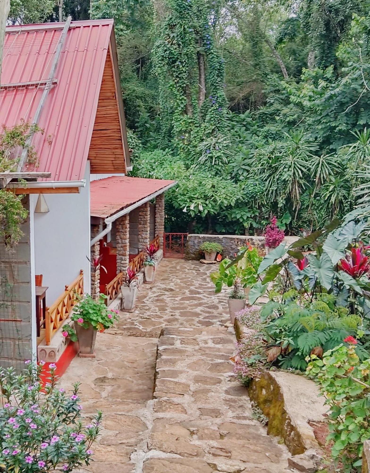 Mrefu Eco-Lodge Marangu Exteriér fotografie